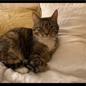 Meet your Posher, Sharon